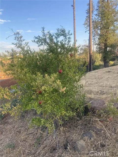 Paradise, CA 95969,5640 Gramercy Place