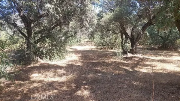 Corning, CA 96021,0 Finnell Avenue