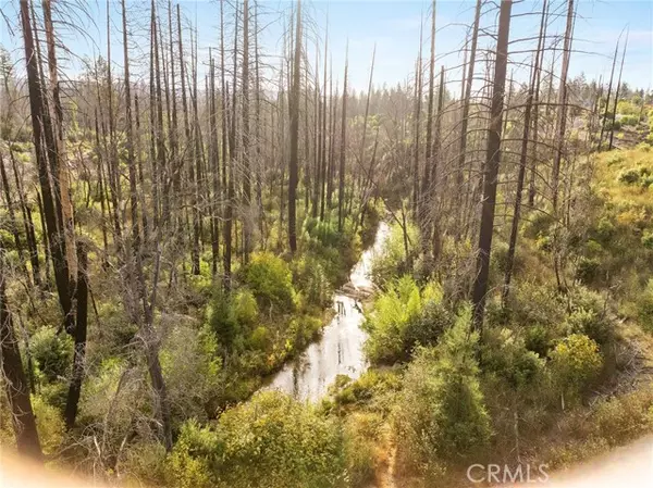 Berry Creek, CA 95916,0 Gamble Road