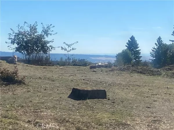 Paradise, CA 95969,1475 Carroll