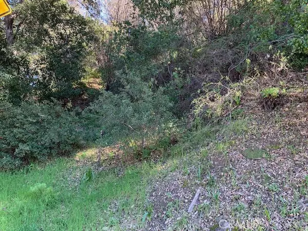 Topanga (los Angeles), CA 90290,0 Vacant Lot