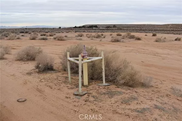 Boron, CA 93516,26197 Twenty Mule Team