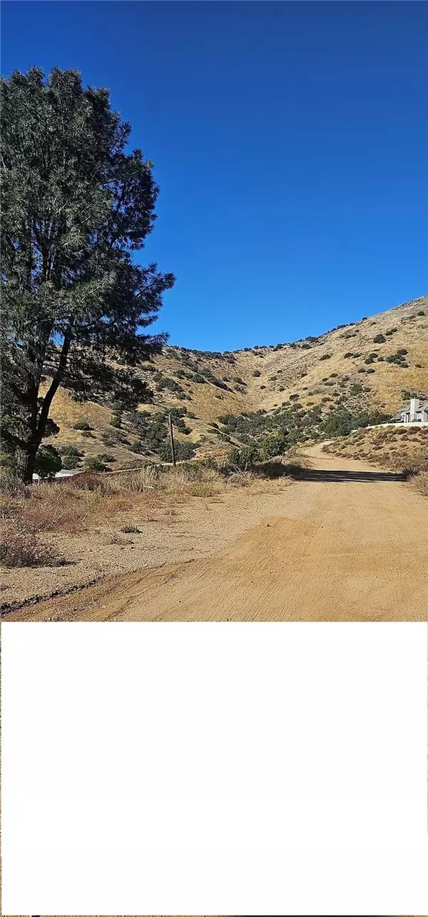 Acton, CA 93510,0 31st Street West/Shannon Valley Road