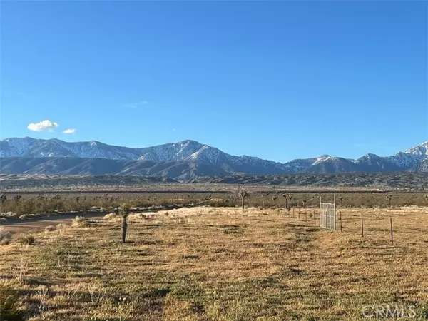 Llano, CA 93544,0 Vac/Cor Avenue W4 Drt /175