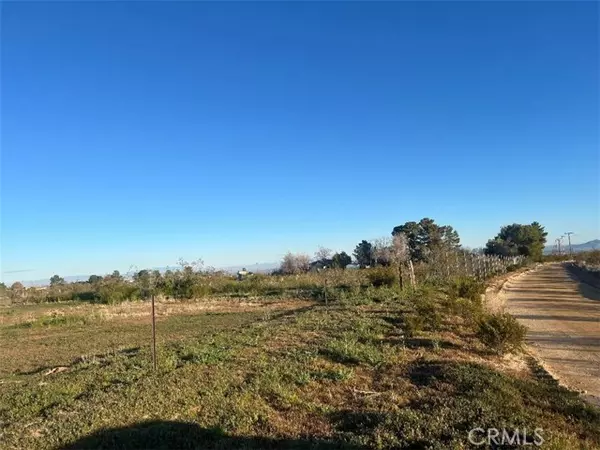 Llano, CA 93544,0 Vac/Cor Avenue W4 Drt /175