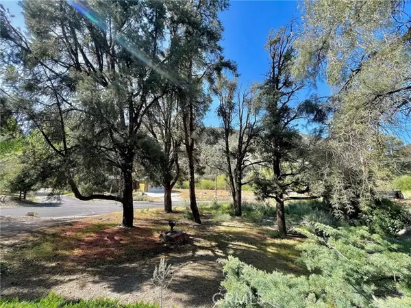 Pine Mtn Club, CA 93222,2601 Basel Court