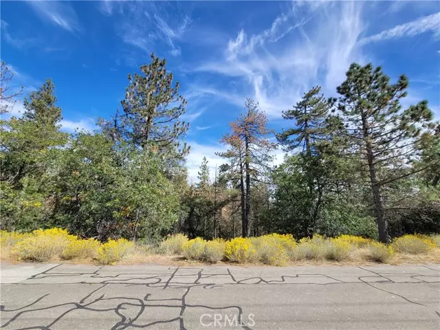 Tehachapi, CA 93561,25840 Wilderness Way