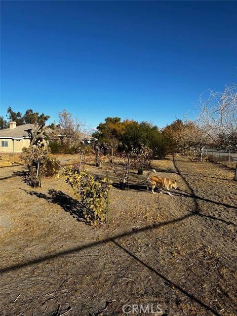 4778 Luna Road, Phelan, CA 92371