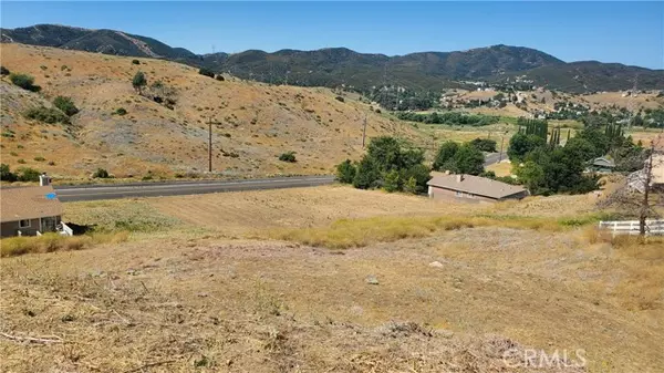 Elizabeth Lake, CA 93532,0 Mccloud Drive