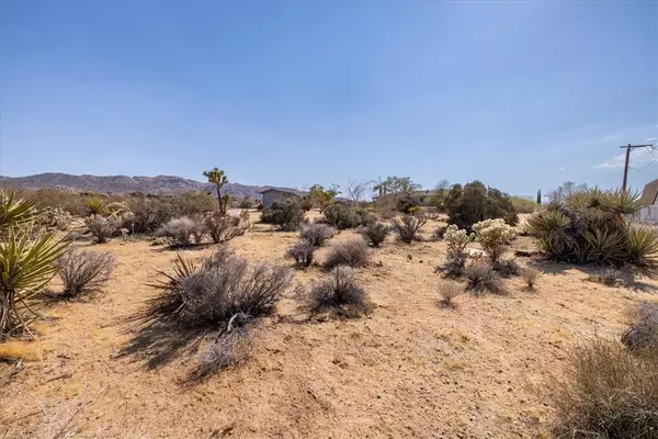 Joshua Tree, CA 92252,0 Saddleback Avenue