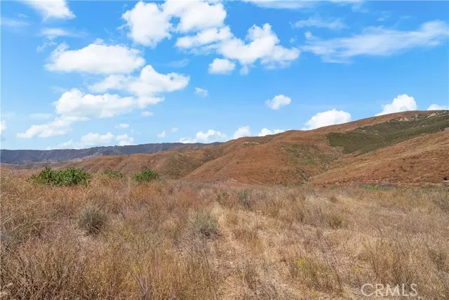 Castaic, CA 91384,0 Ridge Route Road