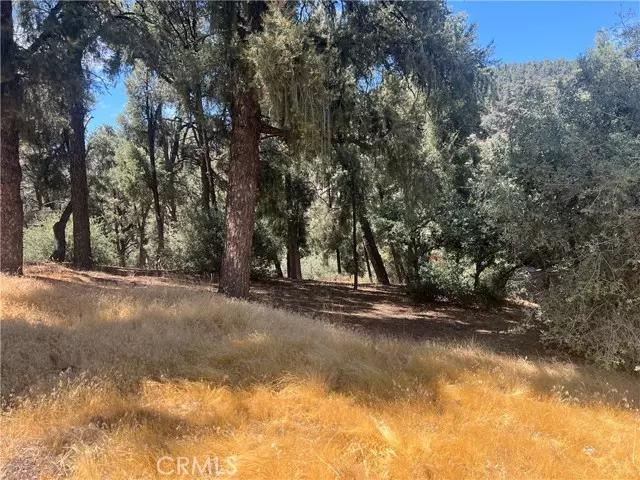 Pine Mtn Club, CA 93225,2721 Bryce Court