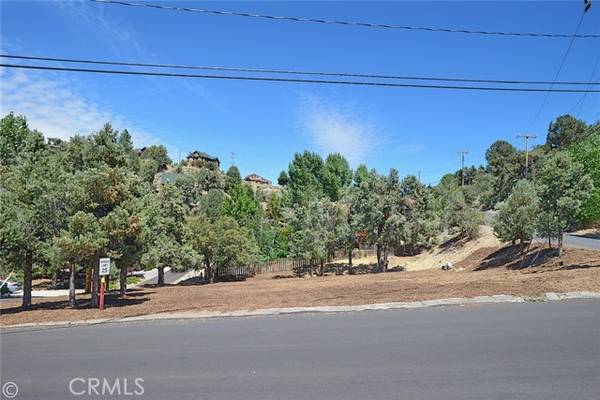 2029 St Bernard Drive, Pine Mtn Club, CA 93222