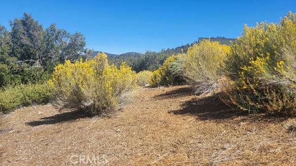 1806 Zermatt, Pine Mtn Club, CA 93222