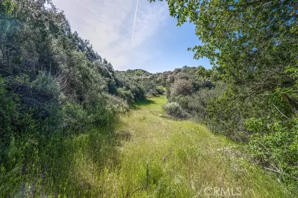 Canyon Country (santa Clarita), CA 91387,8 Mountain Park Road