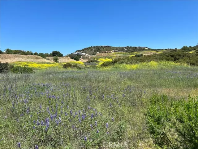 24201 Mulholland Highway, Calabasas, CA 91302