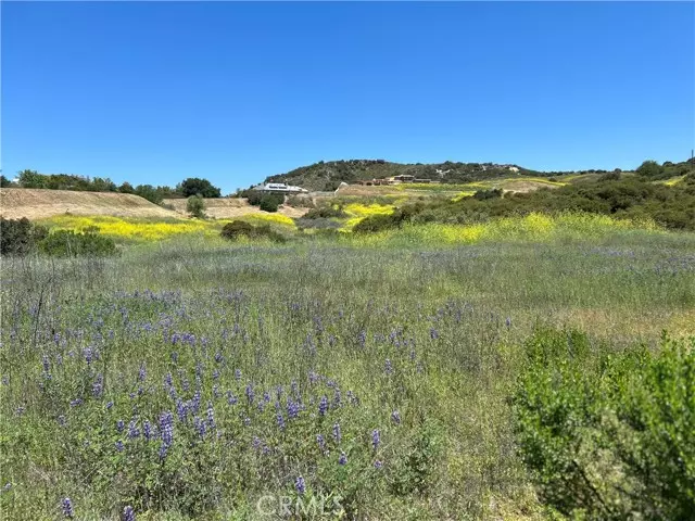 Calabasas, CA 91302,24201 Mulholland Highway