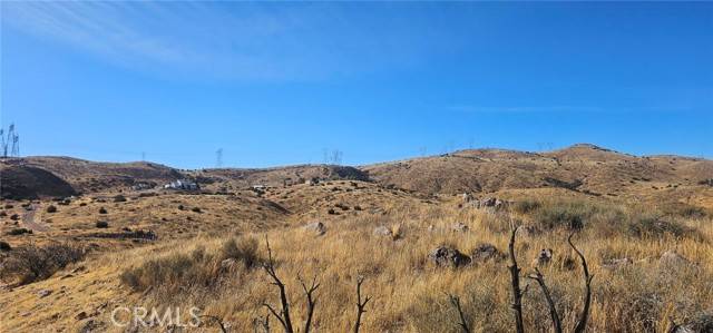 Acton, CA 93510,0 Richter Lane