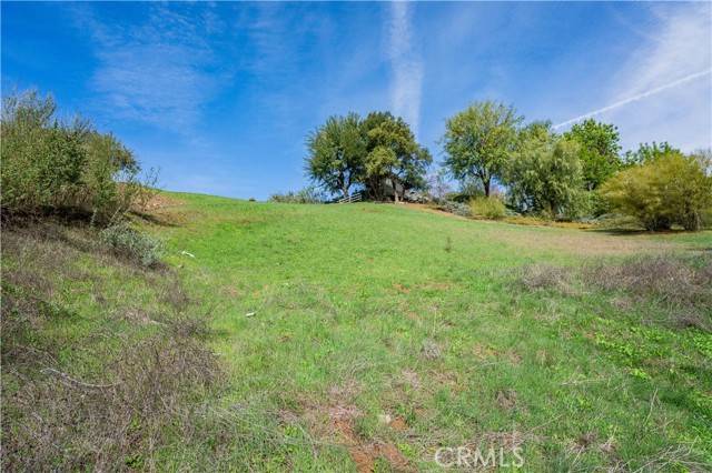 Bell Canyon, CA 91307,16 Holster Lane