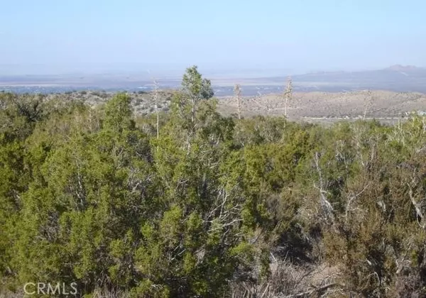 Juniper, CA 93543,1 E Avenue Z2/118 Ste