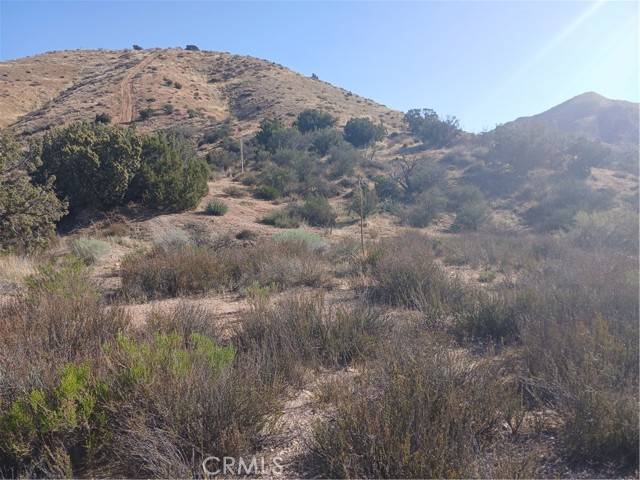 Acton, CA 93510,0 West Avenue Y - 8