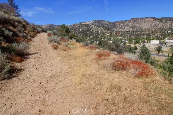 Frazier Park, CA 93225,0 Iowa Trl