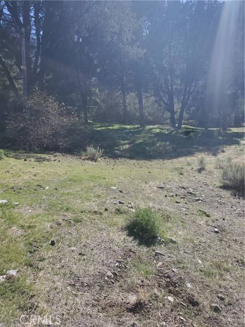 237 Pine Canyon Drive,  Frazier Park,  CA 93225