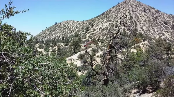 Pinon Hills, CA 92372,0 Desert Front