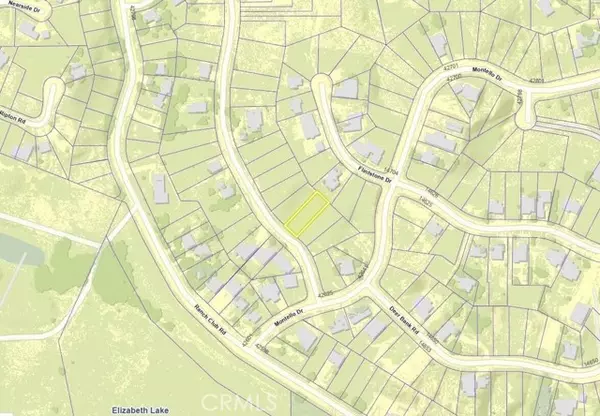 Elizabeth Lake, CA 93532,42624 Arrowrock Drive