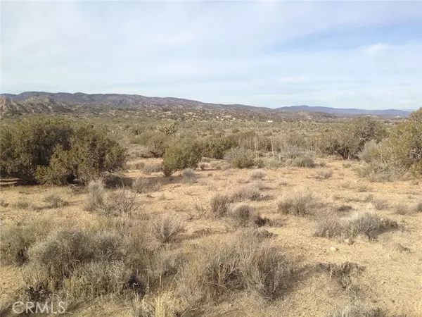 Pearblossom, CA 93553,0 Fort Tejon Road