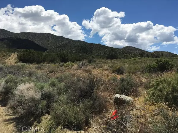 Littlerock (also Little Rock), CA 93543,0 Tenterdon Street