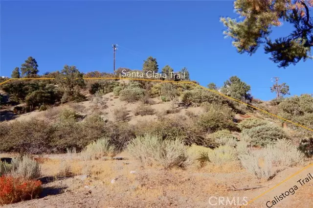 Frazier Park, CA 93225,0 Santa Clara Trail