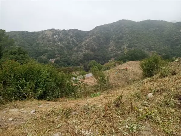 Tujunga (los Angeles), CA 91042,0 TUJUNGA,