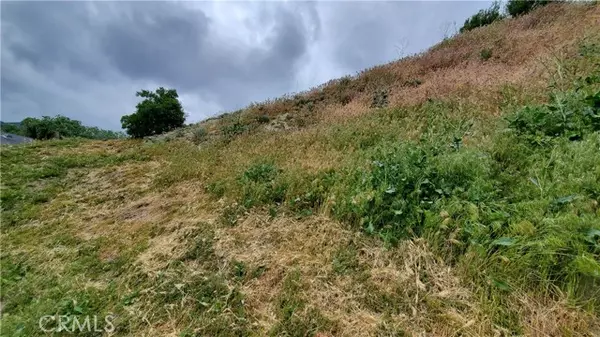 Elizabeth Lake, CA 93532,0 Cutwood Rd