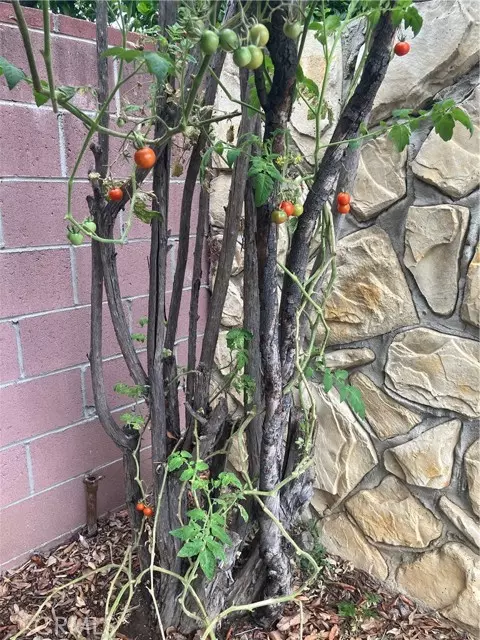 Los Angeles, CA 91406,6914 Andasol Avenue