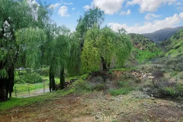 Kagel Canyon, CA 91342,13912 N Mesa Alta Road