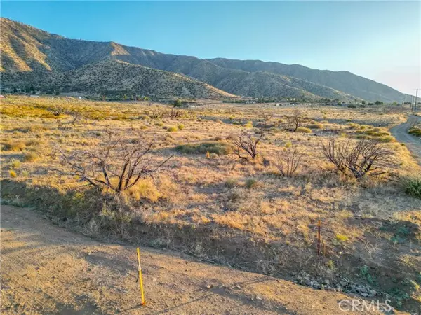 Littlerock (also Little Rock), CA 93543,121 STE Roadrunner Lane