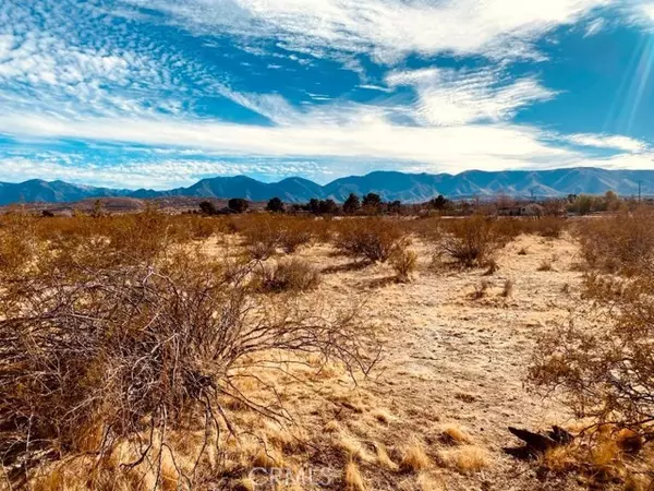 Pearblossom, CA 93553,135 E 135 ST E Avenue