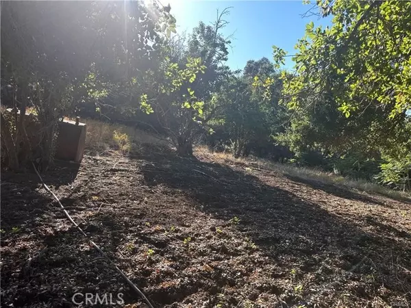 0 Paradise Lane, Topanga (los Angeles), CA 90290