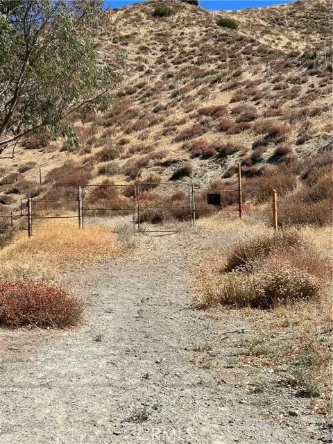 Leona Valley, CA 93551,90 W Avenue N-8