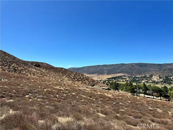 Leona Valley, CA 93551,90 W Avenue N-8