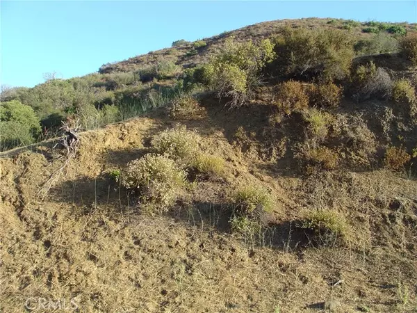 Agoura Hills, CA 91311,0 Laura La Plante