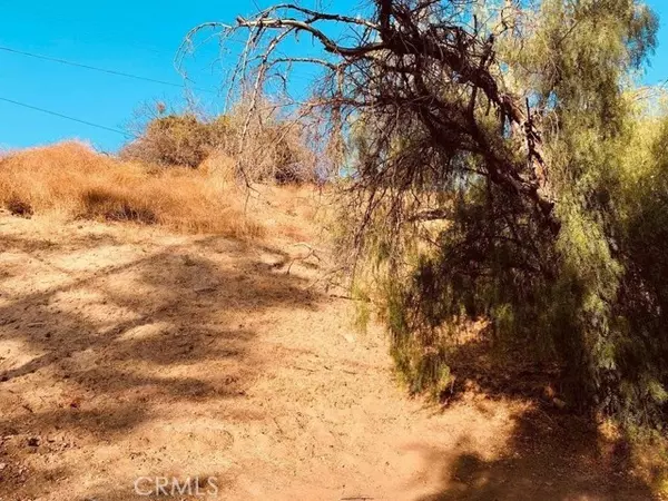 Woodland Hills (los Angeles), CA 91364,20927 Calimali Road