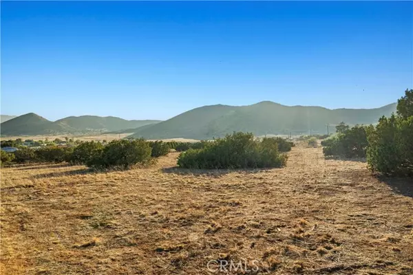 0 Dwight Lee, Acton, CA 93510