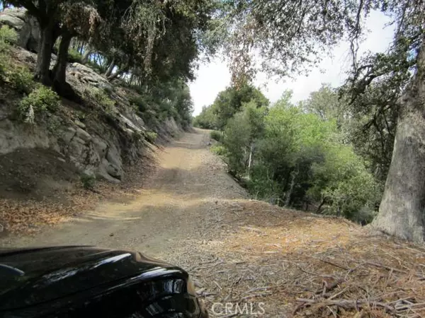 Cedarpines Park, CA 92322,0 Burnt Mill Canyon Road