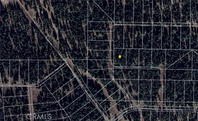 Alturas, CA 96101,0 Pelican