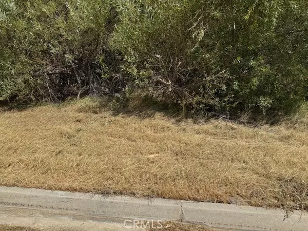 Elizabeth Lake, CA 93532,1 Vac/Kiptree Dr/Vic Deerbank