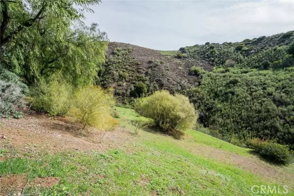 Bell Canyon, CA 91307,16 Holster Lane