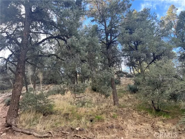 Frazier Park, CA 93225,0 Encino and Truman