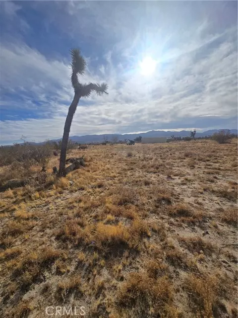 Pinon Hills, CA 92372,0 263rd Road